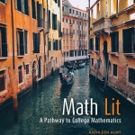 Math Lit book cover