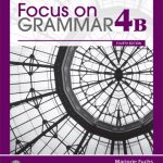 VE FOCUS GR. (4) 4E WORKBOOK B 216968 book cover