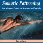 Somatic Patterning book cover
