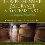 Computerized Practice Set for Comprehensive Assurance & Systems Tool (CAST) book cover