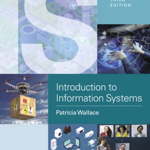 Introduction to Information Systems book cover