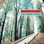 Beginning Algebra book cover