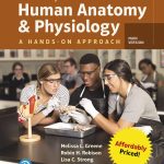 Laboratory Manual for Human Anatomy & Physiology book cover