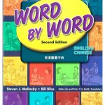 Word by Word English/Chinese Simplified (Domestic) book cover