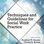 Techniques and Guidelines for Social Work Practice book cover