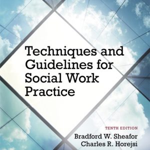 Techniques and Guidelines for Social Work Practice book cover